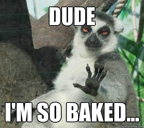 Dude I'm so baked...  