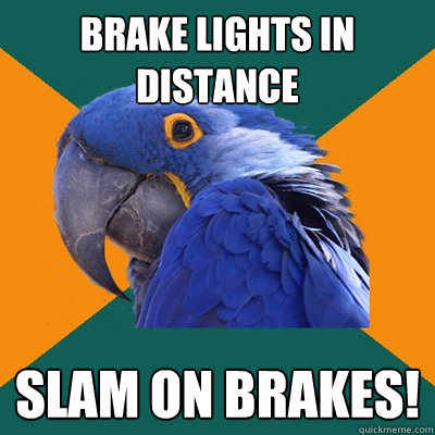 Brake lights in distance slam on brakes!  Paranoid Parrot