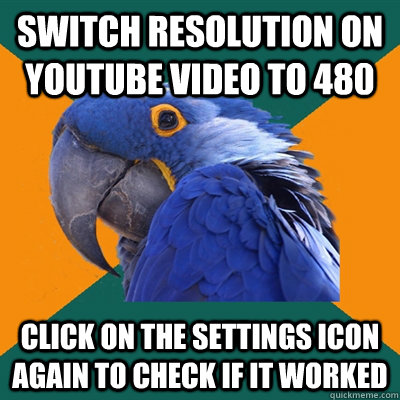 switch resolution on youtube video to 480 click on the settings icon again to check if it worked  Paranoid Parrot