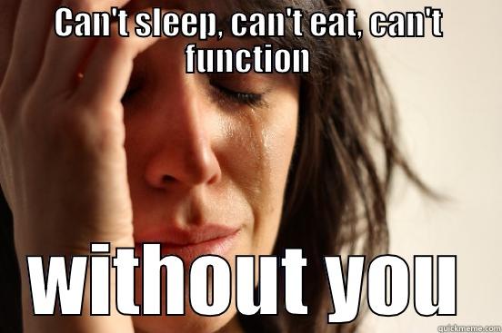 CAN'T SLEEP, CAN'T EAT, CAN'T FUNCTION WITHOUT YOU First World Problems