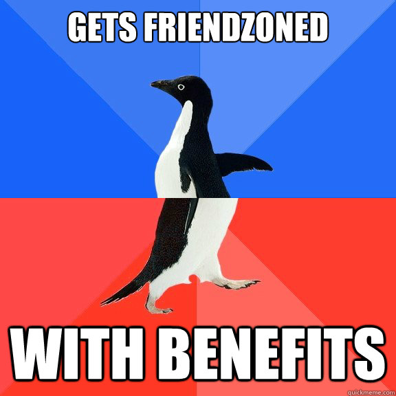 Gets friendzoned With benefits  Socially Awkward Awesome Penguin