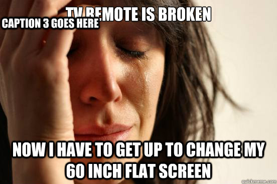 TV remote is broken Now I have to get up to change my 60 inch flat screen Caption 3 goes here  First World Problems