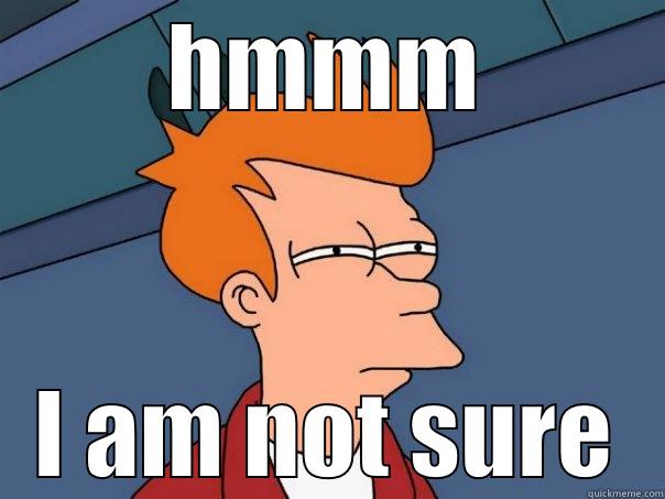 HMMM I AM NOT SURE Futurama Fry