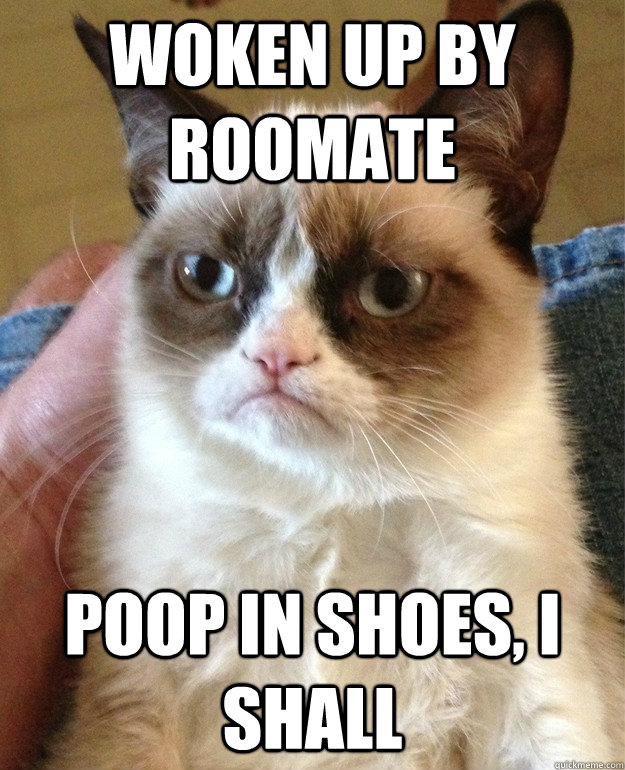 Woken up by roomate Poop in shoes, I shall  Grumpy Cat