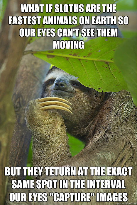What if sloths are the fastest animals on earth so our eyes can't see them moving but they teturn at the exact same spot in the interval our eyes 