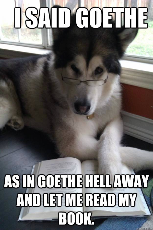 I Said Goethe As in goethe hell away and let me read my book.  Condescending Literary Pun Dog