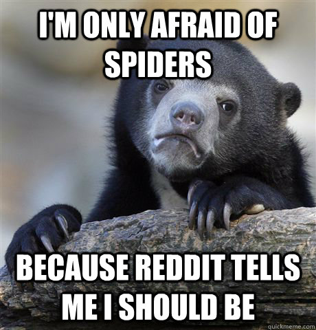 I'm only afraid of spiders Because reddit tells me I should be - I'm only afraid of spiders Because reddit tells me I should be  Confession Bear