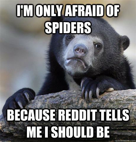 I'm only afraid of spiders Because reddit tells me I should be  Confession Bear