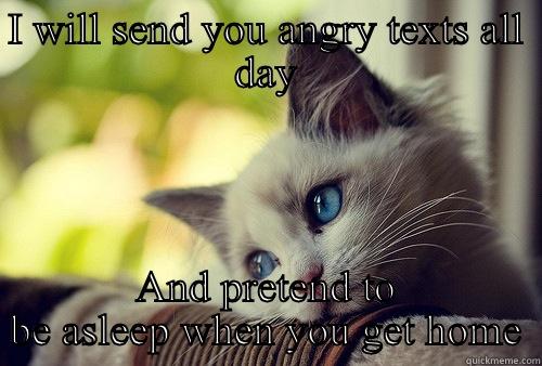I WILL SEND YOU ANGRY TEXTS ALL DAY AND PRETEND TO BE ASLEEP WHEN YOU GET HOME First World Problems Cat