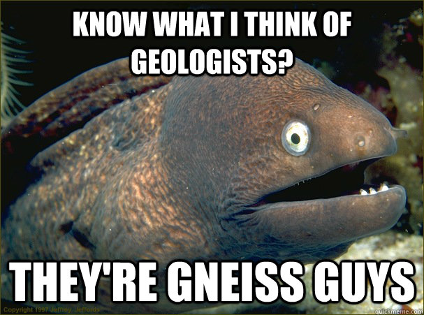Know what I think of geologists? They're gneiss guys  Bad Joke Eel