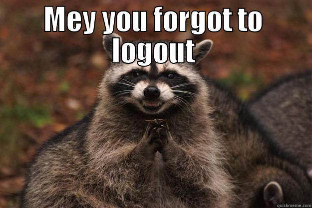 Mey you forgot to logout - MEY YOU FORGOT TO LOGOUT  Evil Plotting Raccoon