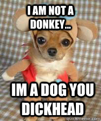 i am not a donkey... Im a dog you dickhead - i am not a donkey... Im a dog you dickhead  Angry dog