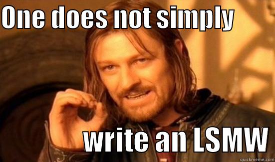 ONE DOES NOT SIMPLY                         WRITE AN LSMW Boromir