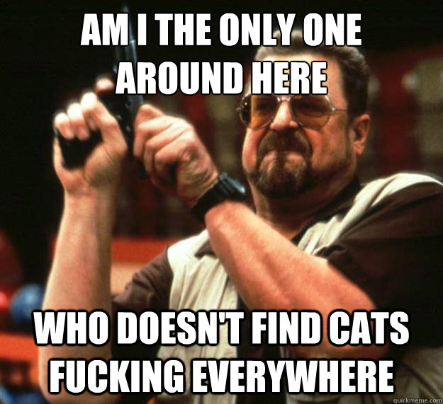 am I the only one 
around here WHO DOESN'T FIND CATS FUCKING EVERYWHERE  Angry Walter