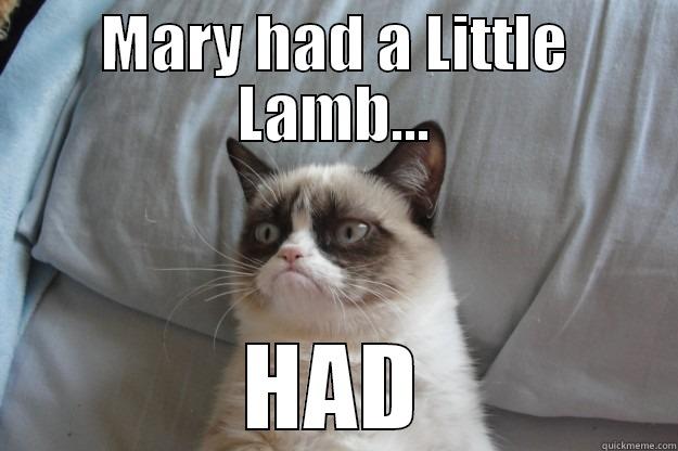 MARY HAD A LITTLE LAMB... HAD Grumpy Cat