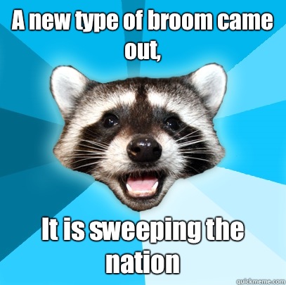 A new type of broom came out,  It is sweeping the nation  Lame Pun Coon