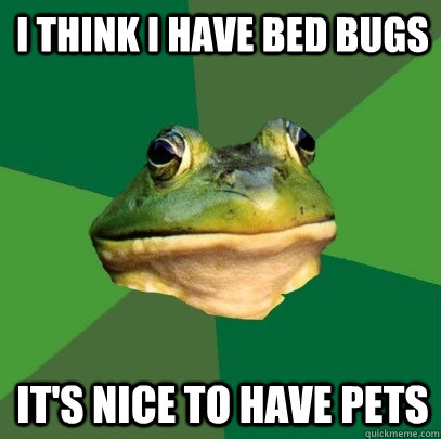 I think i have bed bugs it's nice to have pets  Foul Bachelor Frog