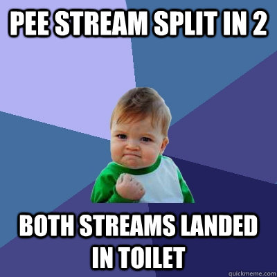 Pee stream split in 2 both streams landed in toilet  Success Kid