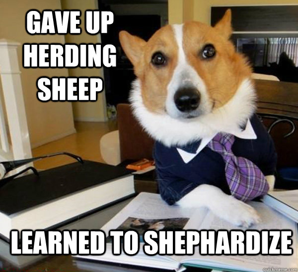 Gave up herding sheep Learned to Shephardize - Gave up herding sheep Learned to Shephardize  Lawyer Dog