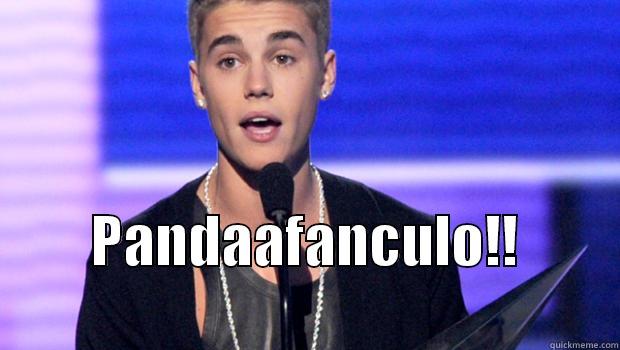  PANDAAFANCULO!!                  Misc