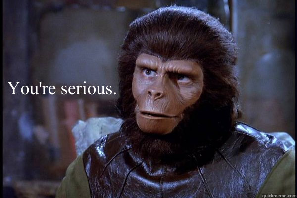 You're serious.
  - You're serious.
   Misc