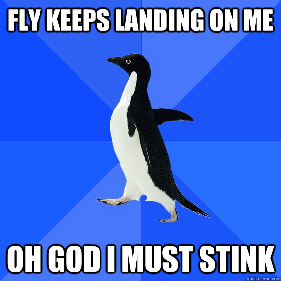 fly keeps landing on me oh god i must stink  Socially Awkward Penguin