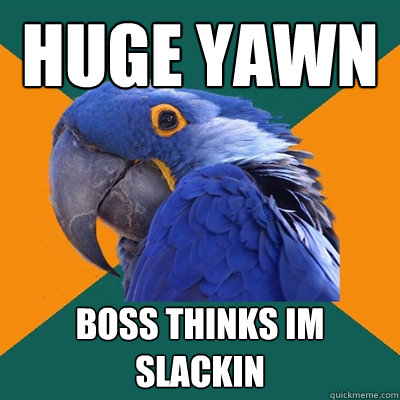 huge yawn boss thinks im slackin  Paranoid Parrot