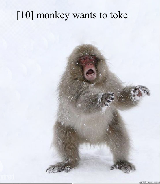 [10] monkey wants to toke - [10] monkey wants to toke  Misc