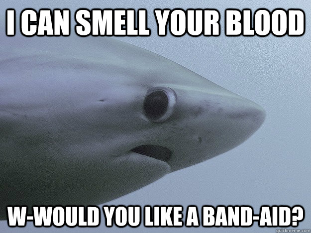 I can smell your blood w-would you like a band-aid? - I can smell your blood w-would you like a band-aid?  Shy Shark