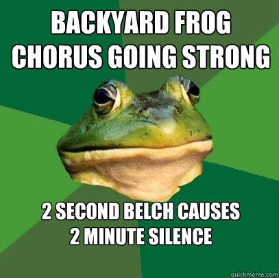 Backyard frog chorus going strong 2 second belch causes 
2 minute silence
   Foul Bachelor Frog