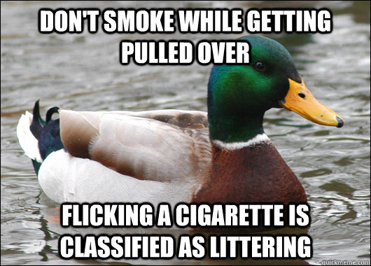 Don't smoke while getting pulled over Flicking a cigarette is classified as littering   Actual Advice Mallard