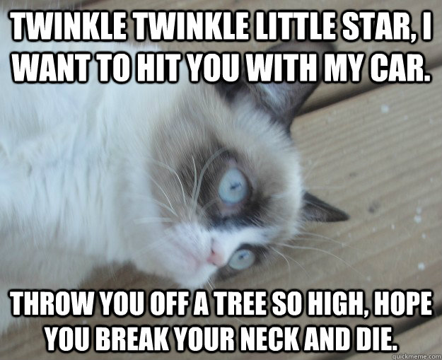 Twinkle twinkle little star, I want to hit you with my car. Throw you off a tree so high, hope you break your neck and die. - Twinkle twinkle little star, I want to hit you with my car. Throw you off a tree so high, hope you break your neck and die.  Tard