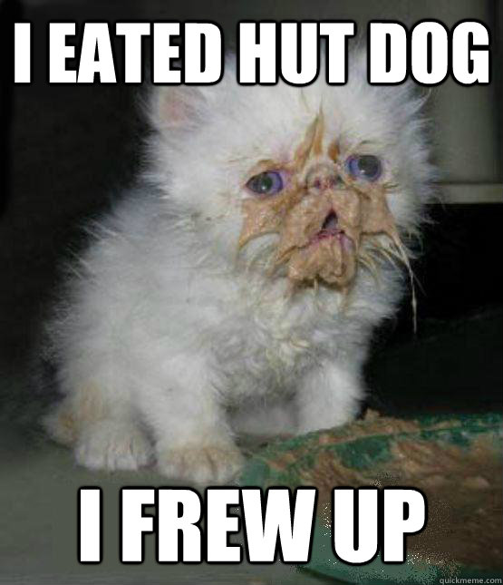 I eated hut dog I frew up - I eated hut dog I frew up  frew up cat
