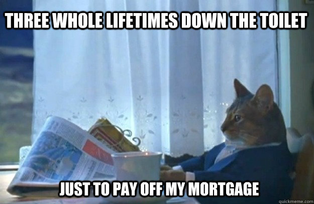 THREE WHOLE LIFETIMES DOWN THE TOILET JUST TO PAY OFF MY MORTGAGE  Sophisticated Cat