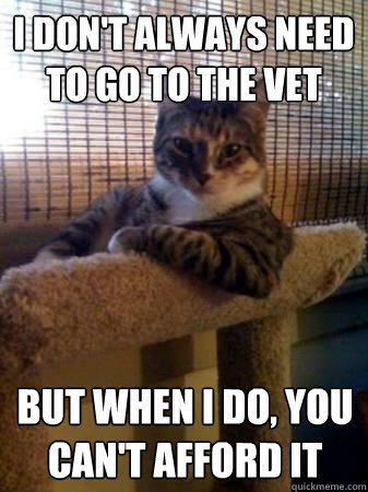 i don't always need to go to the vet but when i do, you can't afford it - i don't always need to go to the vet but when i do, you can't afford it  The Most Interesting Cat in the World