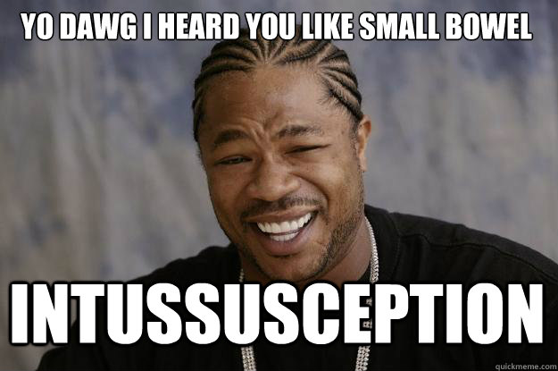 YO DAWG I HEARD YOU LIKE SMALL BOWEL INTUSSUSCEPTION - YO DAWG I HEARD YOU LIKE SMALL BOWEL INTUSSUSCEPTION  Xzibit meme