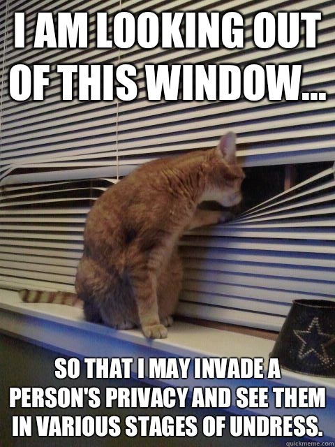 I am looking out of this window... So that I may invade a person's privacy and see them in various stages of undress. - I am looking out of this window... So that I may invade a person's privacy and see them in various stages of undress.  Peeping Tomcat