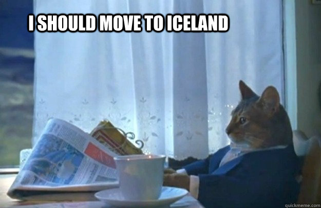 I should move to iceland  Sophisticated Cat