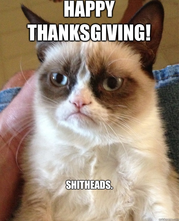 Happy Thanksgiving! Shitheads.  Grumpy Cat