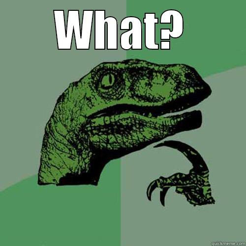 WHAT?  Philosoraptor
