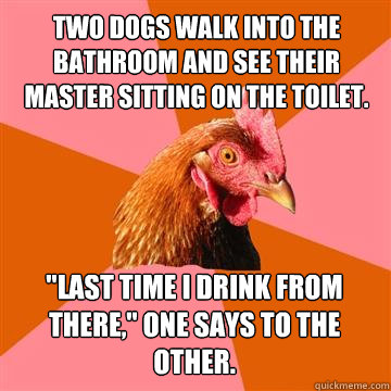 Two dogs walk into the bathroom and see their master sitting on the toilet. 