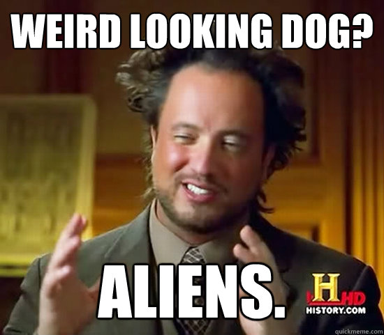 Weird looking dog? ALIENS.  Ancient Aliens