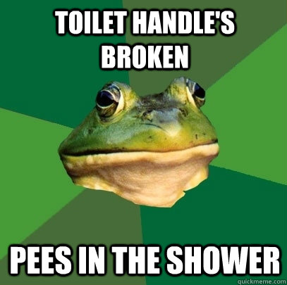 Toilet Handle's Broken Pees in the shower  Foul Bachelor Frog