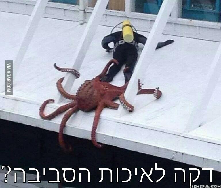   ?דקה לאיכות הסביבה Misc