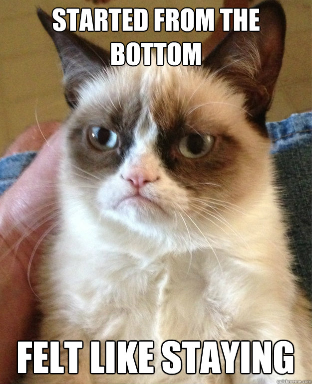 STARTED FROM THE BOTTOM FELT LIKE STAYING - STARTED FROM THE BOTTOM FELT LIKE STAYING  Tard the Grumpy Cat