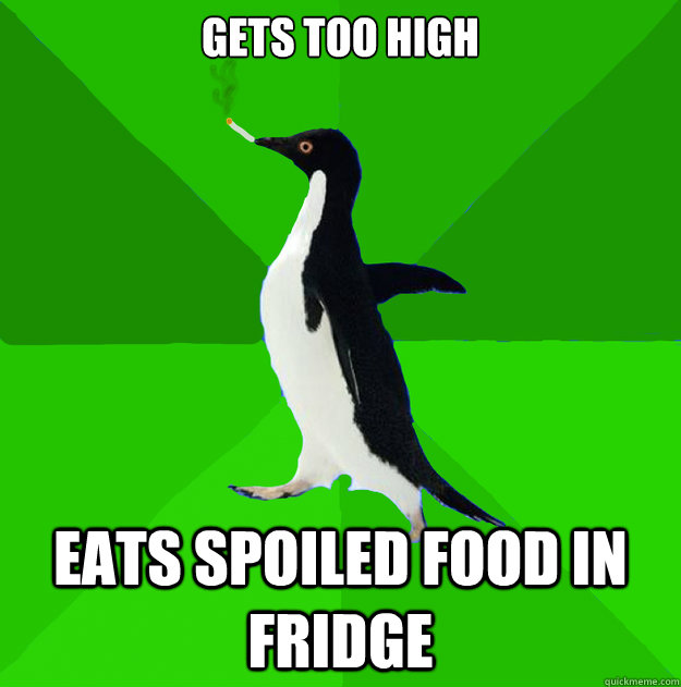 Gets too high Eats spoiled food in fridge  Stoner Penguin