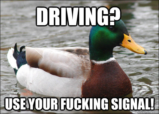 Driving? Use your fucking signal!  Actual Advice Mallard