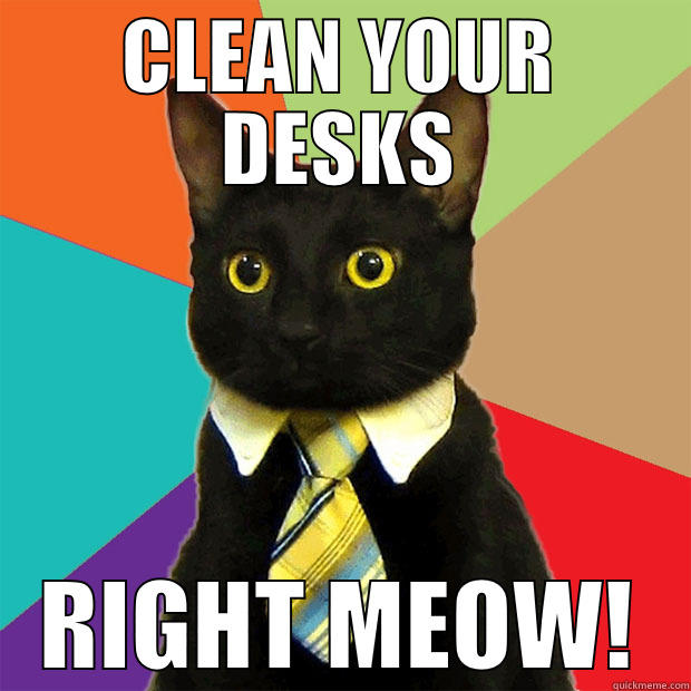 CLEAN YOUR DESKS RIGHT MEOW! Business Cat