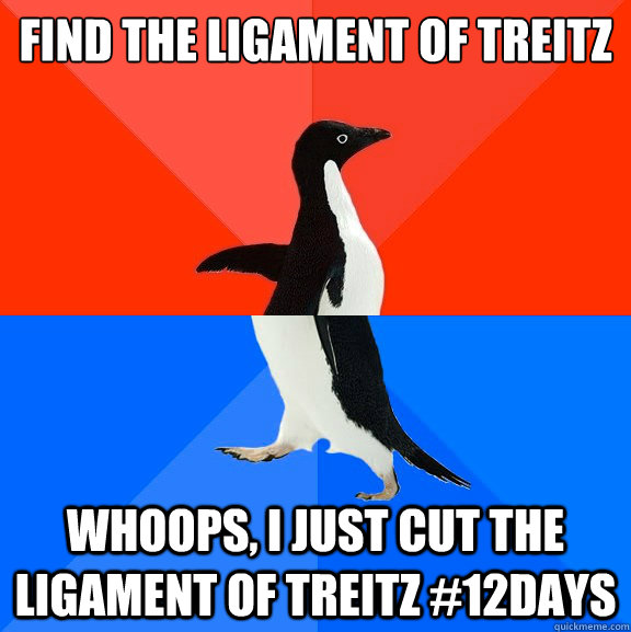 Find the ligament of treitz Whoops, I just cut the ligament of treitz #12days  Socially Awesome Awkward Penguin