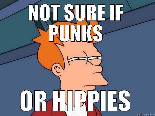 NOT SURE IF PUNKS OR HIPPIES Futurama Fry